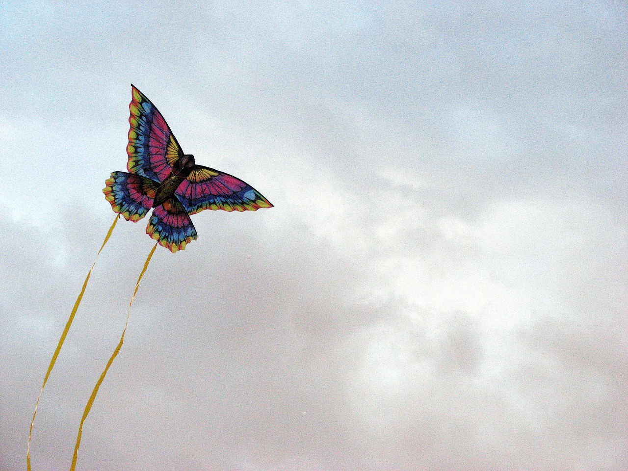 Your Kids' Guide to Making Their Own Kites